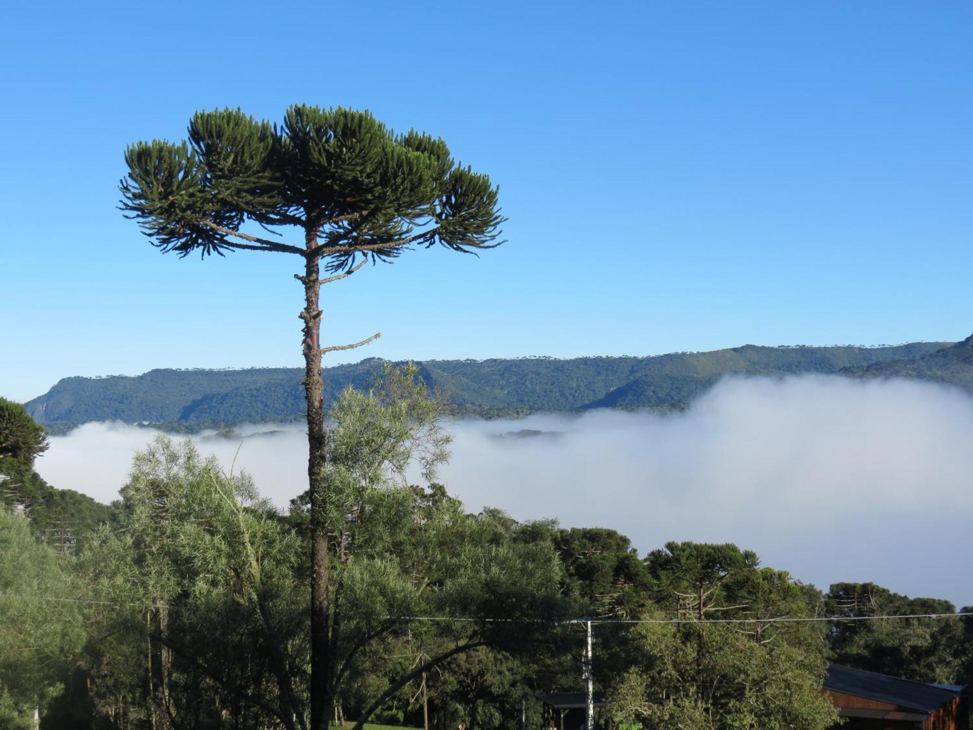 Refugio Da Montanha Villa Urubici Eksteriør billede